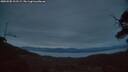 ./images/calvert/fitz-hugh-hecate/20250505/fitz-hugh-hecate20250505_213508M.jpg