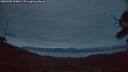./images/calvert/fitz-hugh-hecate/20250505/fitz-hugh-hecate20250505_214007M.jpg