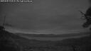 ./images/calvert/fitz-hugh-hecate/20250505/fitz-hugh-hecate20250505_214508M.jpg