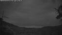 ./images/calvert/fitz-hugh-hecate/20250506/fitz-hugh-hecate20250506_051508M.jpg