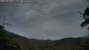 ./images/calvert/fitz-hugh-hecate/20250506/fitz-hugh-hecate20250506_054007M.jpg