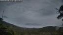 ./images/calvert/fitz-hugh-hecate/20250506/fitz-hugh-hecate20250506_055009M.jpg