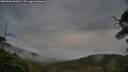 ./images/calvert/fitz-hugh-hecate/20250506/fitz-hugh-hecate20250506_060009M.jpg