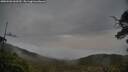 ./images/calvert/fitz-hugh-hecate/20250506/fitz-hugh-hecate20250506_060510M.jpg
