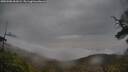 ./images/calvert/fitz-hugh-hecate/20250506/fitz-hugh-hecate20250506_061009M.jpg