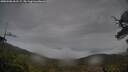 ./images/calvert/fitz-hugh-hecate/20250506/fitz-hugh-hecate20250506_061509M.jpg