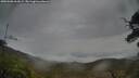 ./images/calvert/fitz-hugh-hecate/20250506/fitz-hugh-hecate20250506_062009M.jpg