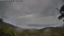 ./images/calvert/fitz-hugh-hecate/20250506/fitz-hugh-hecate20250506_062510M.jpg