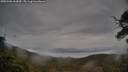./images/calvert/fitz-hugh-hecate/20250506/fitz-hugh-hecate20250506_063010M.jpg