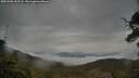 ./images/calvert/fitz-hugh-hecate/20250506/fitz-hugh-hecate20250506_063508M.jpg