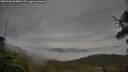 ./images/calvert/fitz-hugh-hecate/20250506/fitz-hugh-hecate20250506_064010M.jpg