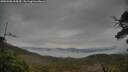 ./images/calvert/fitz-hugh-hecate/20250506/fitz-hugh-hecate20250506_065010M.jpg