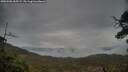 ./images/calvert/fitz-hugh-hecate/20250506/fitz-hugh-hecate20250506_065509M.jpg
