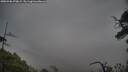 ./images/calvert/fitz-hugh-hecate/20250506/fitz-hugh-hecate20250506_070009M.jpg