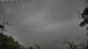 ./images/calvert/fitz-hugh-hecate/20250506/fitz-hugh-hecate20250506_070509M.jpg