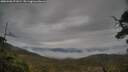 ./images/calvert/fitz-hugh-hecate/20250506/fitz-hugh-hecate20250506_071009M.jpg