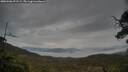 ./images/calvert/fitz-hugh-hecate/20250506/fitz-hugh-hecate20250506_071508M.jpg