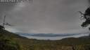 ./images/calvert/fitz-hugh-hecate/20250506/fitz-hugh-hecate20250506_074010M.jpg