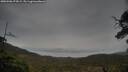 ./images/calvert/fitz-hugh-hecate/20250506/fitz-hugh-hecate20250506_075009M.jpg