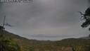 ./images/calvert/fitz-hugh-hecate/20250506/fitz-hugh-hecate20250506_075507M.jpg