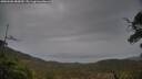 ./images/calvert/fitz-hugh-hecate/20250506/fitz-hugh-hecate20250506_080010M.jpg