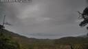 ./images/calvert/fitz-hugh-hecate/20250506/fitz-hugh-hecate20250506_080510M.jpg