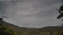 ./images/calvert/fitz-hugh-hecate/20250506/fitz-hugh-hecate20250506_081010M.jpg