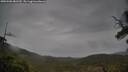 ./images/calvert/fitz-hugh-hecate/20250506/fitz-hugh-hecate20250506_081510M.jpg
