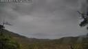 ./images/calvert/fitz-hugh-hecate/20250506/fitz-hugh-hecate20250506_082509M.jpg