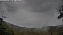 ./images/calvert/fitz-hugh-hecate/20250506/fitz-hugh-hecate20250506_083509M.jpg