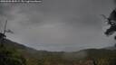 ./images/calvert/fitz-hugh-hecate/20250506/fitz-hugh-hecate20250506_084509M.jpg