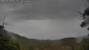 ./images/calvert/fitz-hugh-hecate/20250506/fitz-hugh-hecate20250506_090509M.jpg