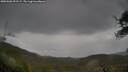 ./images/calvert/fitz-hugh-hecate/20250506/fitz-hugh-hecate20250506_092509M.jpg