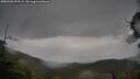 ./images/calvert/fitz-hugh-hecate/20250506/fitz-hugh-hecate20250506_093508M.jpg