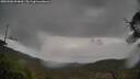 ./images/calvert/fitz-hugh-hecate/20250506/fitz-hugh-hecate20250506_094010M.jpg