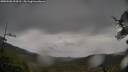 ./images/calvert/fitz-hugh-hecate/20250506/fitz-hugh-hecate20250506_094510M.jpg