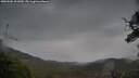 ./images/calvert/fitz-hugh-hecate/20250506/fitz-hugh-hecate20250506_101010M.jpg