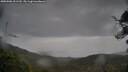 ./images/calvert/fitz-hugh-hecate/20250506/fitz-hugh-hecate20250506_101510M.jpg