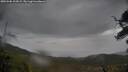 ./images/calvert/fitz-hugh-hecate/20250506/fitz-hugh-hecate20250506_102008M.jpg