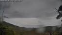 ./images/calvert/fitz-hugh-hecate/20250506/fitz-hugh-hecate20250506_102508M.jpg