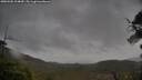 ./images/calvert/fitz-hugh-hecate/20250506/fitz-hugh-hecate20250506_104010M.jpg