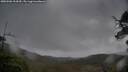 ./images/calvert/fitz-hugh-hecate/20250506/fitz-hugh-hecate20250506_104510M.jpg