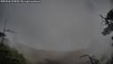 ./images/calvert/fitz-hugh-hecate/20250506/fitz-hugh-hecate20250506_105010M.jpg
