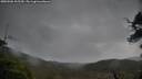 ./images/calvert/fitz-hugh-hecate/20250506/fitz-hugh-hecate20250506_105509M.jpg