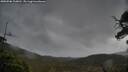 ./images/calvert/fitz-hugh-hecate/20250506/fitz-hugh-hecate20250506_110011M.jpg