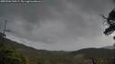 ./images/calvert/fitz-hugh-hecate/20250506/fitz-hugh-hecate20250506_110509M.jpg