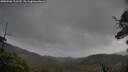 ./images/calvert/fitz-hugh-hecate/20250506/fitz-hugh-hecate20250506_111510M.jpg
