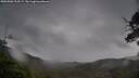 ./images/calvert/fitz-hugh-hecate/20250506/fitz-hugh-hecate20250506_112509M.jpg