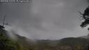 ./images/calvert/fitz-hugh-hecate/20250506/fitz-hugh-hecate20250506_113509M.jpg