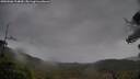 ./images/calvert/fitz-hugh-hecate/20250506/fitz-hugh-hecate20250506_114010M.jpg